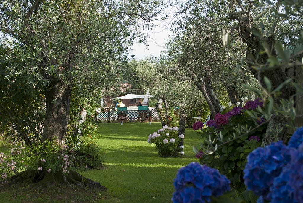 Azienda Agricola Della Mezzaluna Stiava Exterior foto