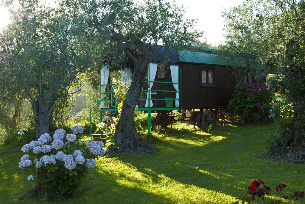Azienda Agricola Della Mezzaluna Stiava Exterior foto
