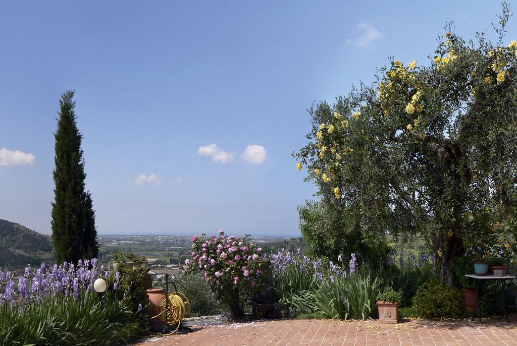 Azienda Agricola Della Mezzaluna Stiava Exterior foto